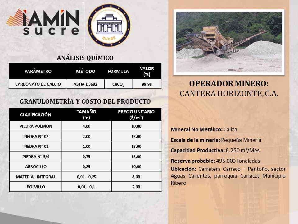 Ficha de operador minero 1 — Portafolio de Negocio
