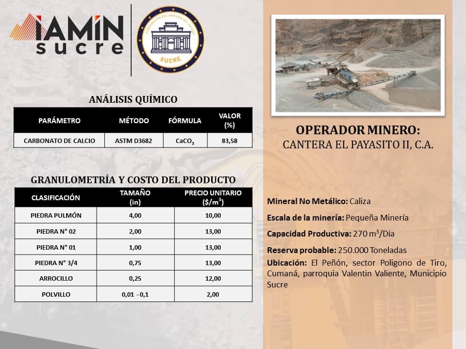Ficha de operador minero 10 — Portafolio de Negocio