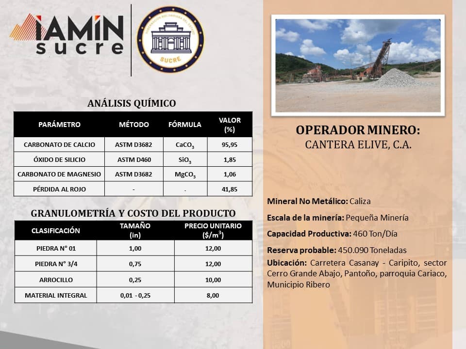 Ficha de operador minero 12 — Portafolio de Negocio