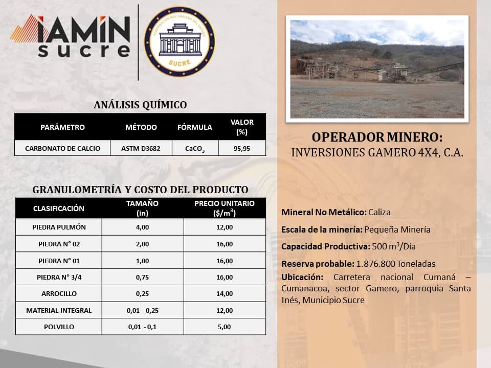 Ficha de operador minero 13 — Portafolio de Negocio