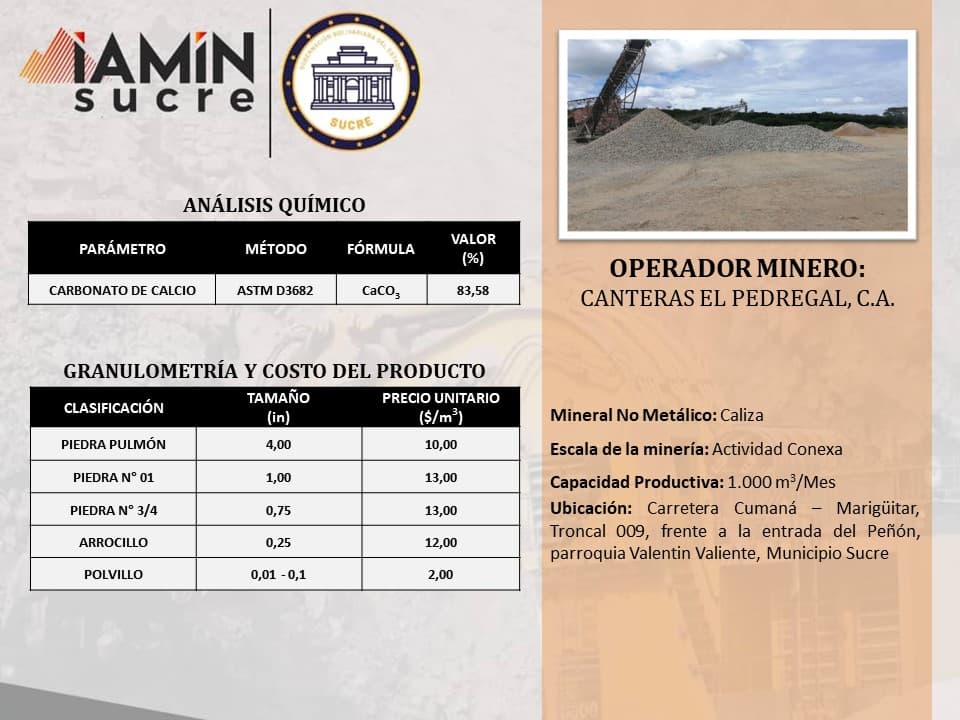 Ficha de operador minero 19 — Portafolio de Negocio