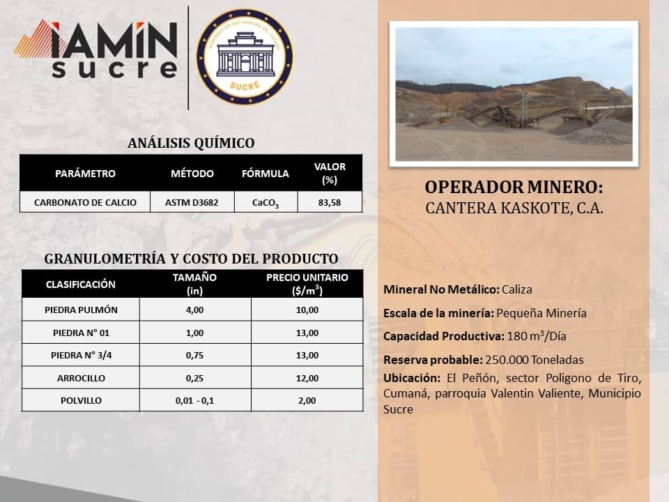 Ficha de operador minero 22 — Portafolio de Negocio