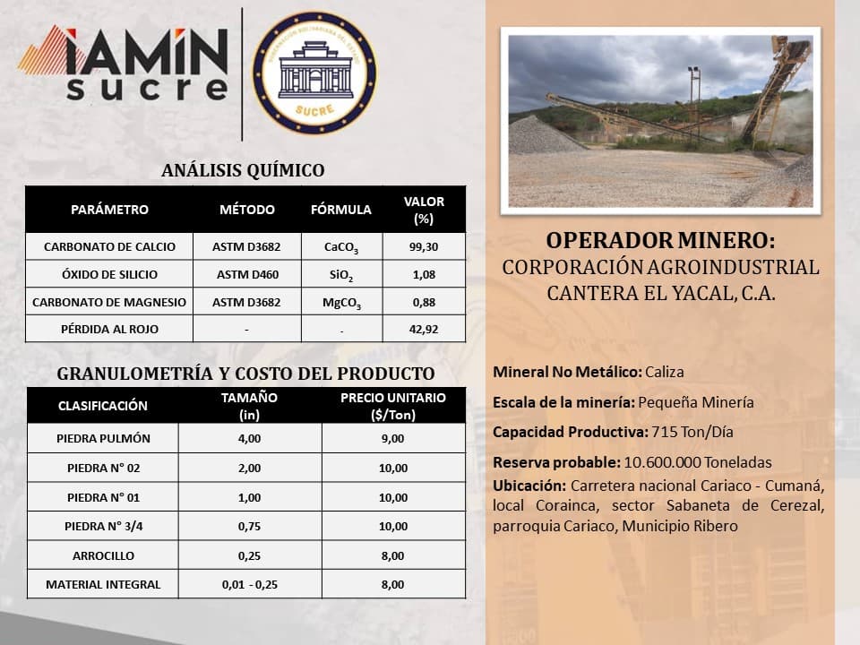 Ficha de operador minero 4 — Portafolio de Negocio