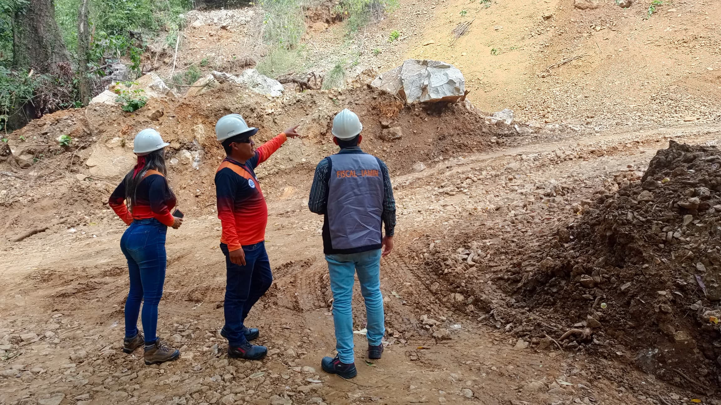 Inspección de campo del IAMIN